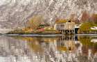 Landscape at Salangen Fjord near Loksebotn in northern Norway during winter. Art Print